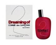 Comme des Garcons Dreaming of Comme des Garcons-2