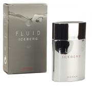 Iceberg Fluid